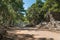 Ruins of a central ancient street in Phaselis ancient city in in Kemer region, Turkey