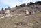 Ruins church and landscape