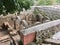 Ruins in city of Ronda