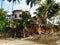 Ruins between coconut palms