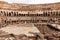 Ruins of colosseum and crowd of tourists under grey sky