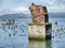 Ruins On The Columbia River