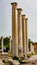 Ruins of columns in Ancient Salamis
