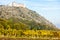 ruins of Devicky Castle with vineyard in autumn, Czech Republic