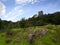 Ruins of Dolwyddelan castle, North Wales
