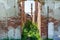 Ruins door and walls of old the house without roof and grass growing from the floor