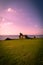 Ruins of Dunure Castle, Ayrshire, Scotland, UK