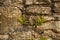 The ruins of Egglestone Abbey near Castle Barnard in County Durham