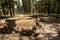 Ruins At The End of The Walhalla Glades Trail Along The North Rim