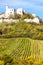 ruins of Falkenstein Castle with vineyard in autumn, Lower Austr