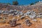 Ruins of a famous amphitheater in the ancient city of Termessos. Travel destinations of Antalya region and Turkey