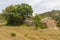 Ruins of a Farm house and cork tree in Santiago do Cacem