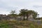 Ruins of Fetislam Fortress  on the right bank of river Danube