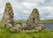 The ruins of Finlaggan, Islay. Scotland.