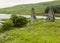 The ruins of Finlaggan, Islay. Scotland.