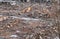 Ruins of former garages, piles of bricks after the fault