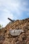 The ruins of Fort Warwick in San Andres, Colombia