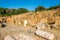 Ruins of Forum in ancient Chellah Sala Colonia in Rabat ,Morocco