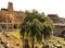 Ruins of the Forum Trajan in Rome