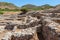 Ruins of Gournia. Crete, Greece