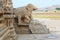 Ruins of Hampi, Broken elephant scultptures