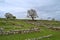 Ruins at the Hellenic Archaeological Park of Antigonea