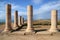 Ruins of Herods the Great palace