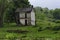 Ruins of homes in Rural Virginia