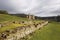 Ruins of the hospital at Tasmania\'s Port Arthur Historical Site