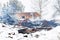 Ruins of house burned in fire conflagration on smoke snow winter landscape background