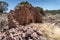 Ruins of a house in Old Irontown, a ghost town in Utah near Cedar City