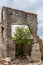 The ruins of the houses. Brick walls. Thickets on the ruins