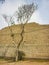 Ruins of Huaca Pucllana