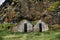 Ruins of Icelandic traditional house and barn.