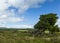 Ruins on Islay.