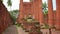 Ruins of a large Buddhist temple. Ayuthaya, Thailand