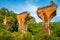 Ruins of Long-teng Bridge, Miaoli County, Taiwan