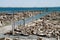 Ruins of the lost city of Epecuen in Argentina.