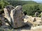 The ruins of the medieval town of Dvigrad Duecastelli, Docastelli, Kanfanar - Istria, Croatia - RuÅ¡evine starog grada Dvigrada