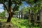 Ruins of Middleside Barracks, on Corregidor Island in the Philippines