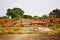 Ruins of Nalanda University situated at Bihar, Nalanda