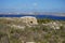 Ruins near St Agatha`s Tower. Triq Tad-Dahar, Il-Mellieha, Malta