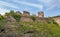 The ruins of Nevitsky castle.