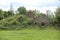 Ruins of old barn covered by bush and lawn