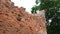 The ruins of an old brick building in Europe in the forest