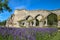 The ruins of the old cloister in Alvastra