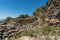 Ruins of an old farmhouse in Sierra Nevada