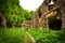 The ruins of the old military fort conquered by nature