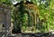 The ruins of the old overgrown foliage of a building with columns