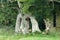 Ruins of the old Quarr Abbey, Ryde, on the Isle of Wight, England.